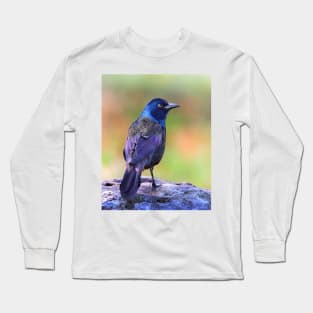 Grackle Sparkle Long Sleeve T-Shirt